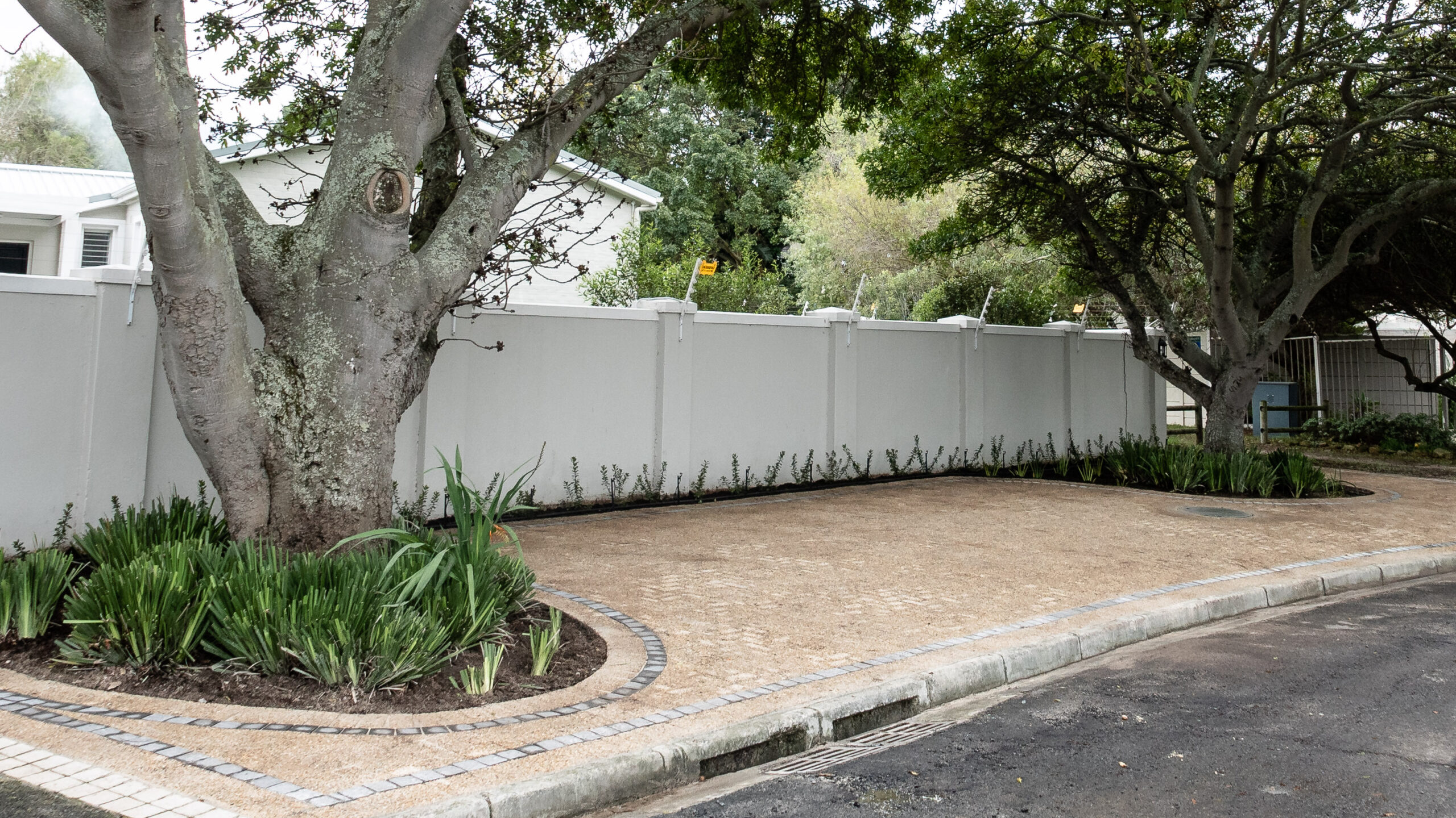 horizon-paving-abbotsford-avenue-exposed-aggregate-cobble-border-hero Pavement paving in Constantia Cape Town with exposed aggregate brownstone pavers and charcoal cobble edging beneath mature trees
