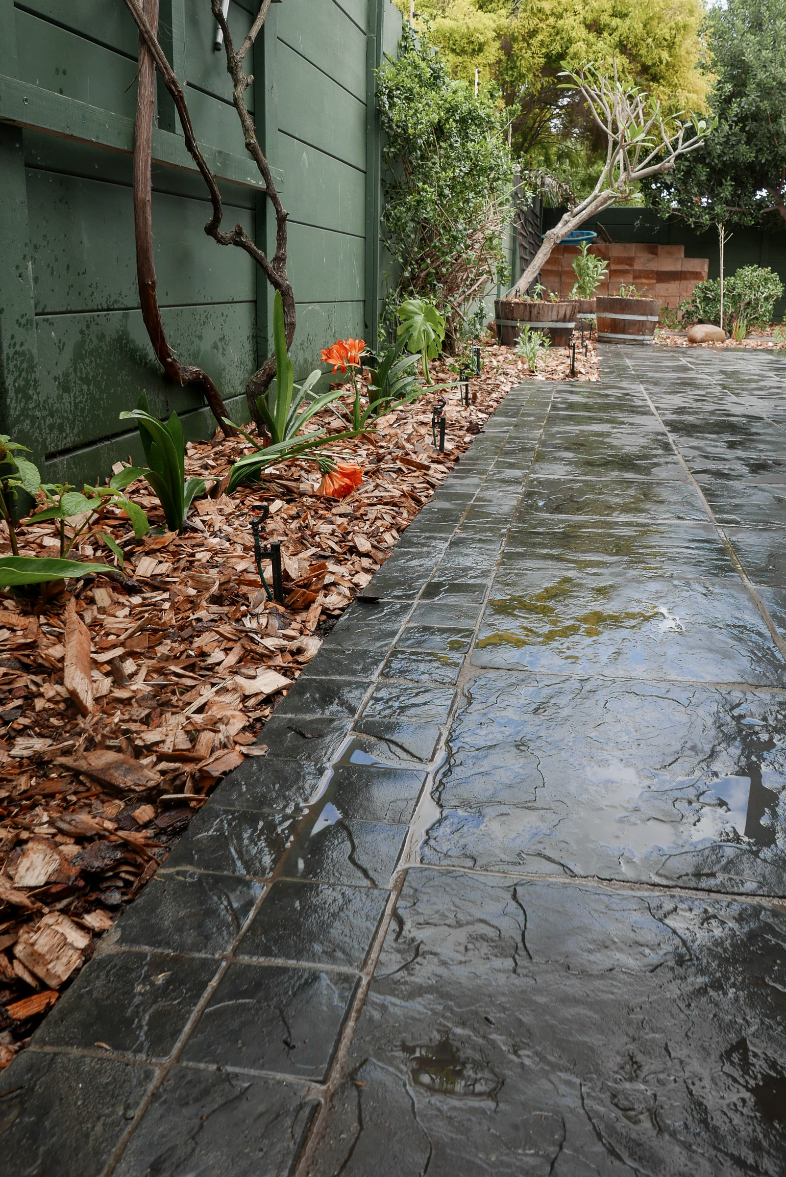 horizon-paving-van-zyl-terraces-panorama-01 Planting bed and walkway with charcoal paving slabs and cobble border at Panorama residence