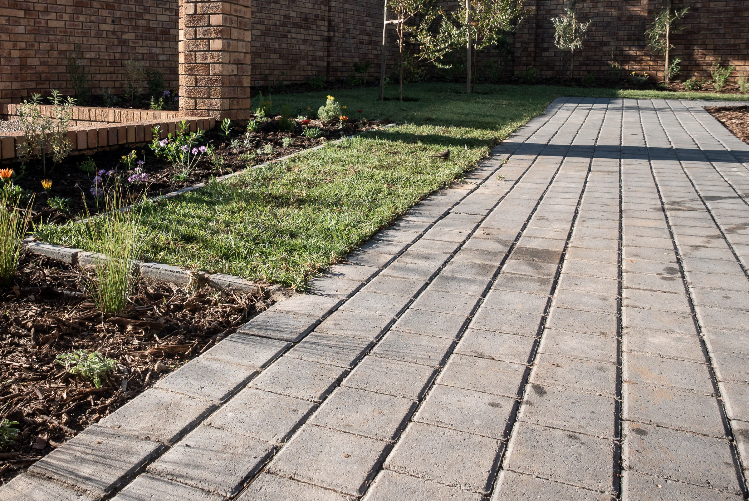 horizon-paving-welgelegen-walkways-linear-view Linear walkway paving detail with structured planting along garden edge