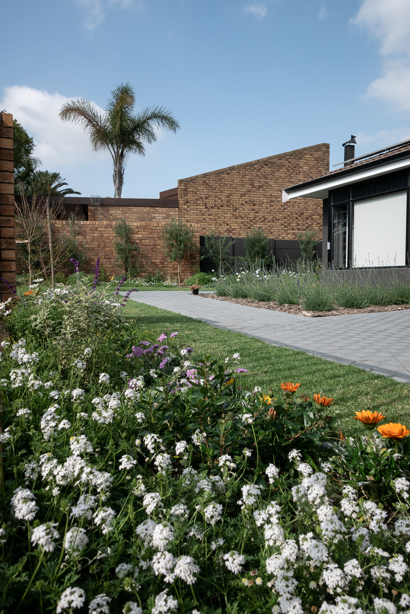 horizon-paving-welgelegen-walkways-planting-detail Flowering planting detail alongside paved garden walkway