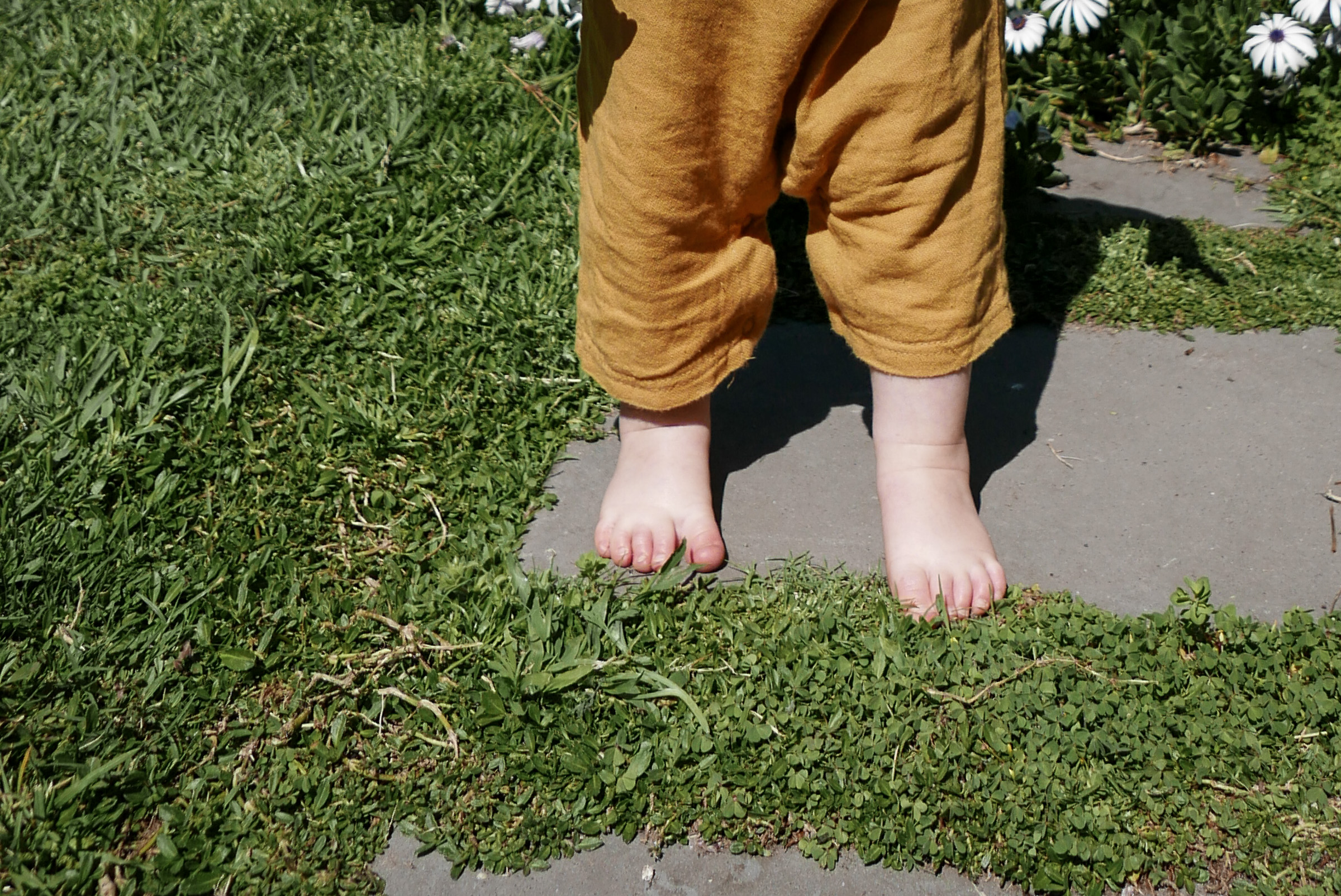 stepping-stones-grass-feet